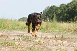 BEAUCERON 034